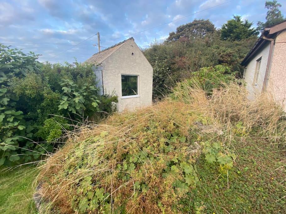 Jaw-Dropping Beach House In Anglesey ينليش المظهر الخارجي الصورة